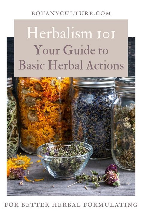 herb 101 basics of herbalism.